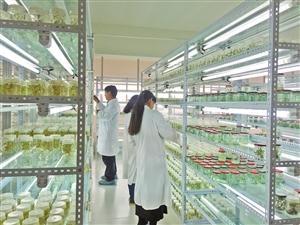 三保奇花 生物科技賦能產業升級，生物農藥揚帆出海